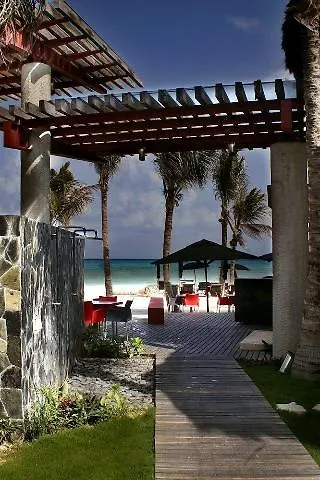 Mosquito Beach Hotel Playa del Carmen